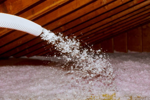 Best DIY Insulation Kits and Guidance in Advae, NC