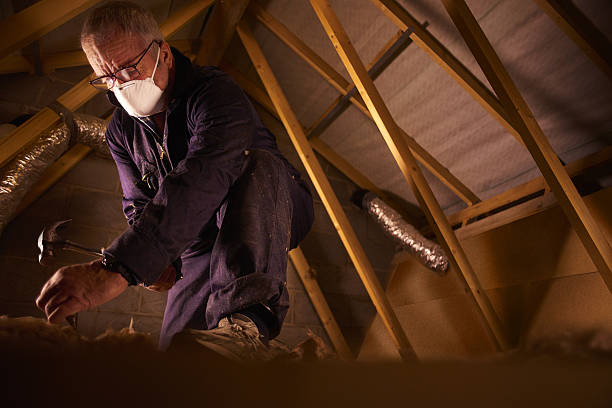 Best Commercial Insulation in Advae, NC